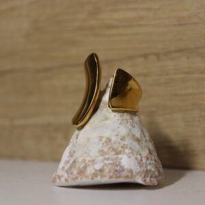 Anillo salitre