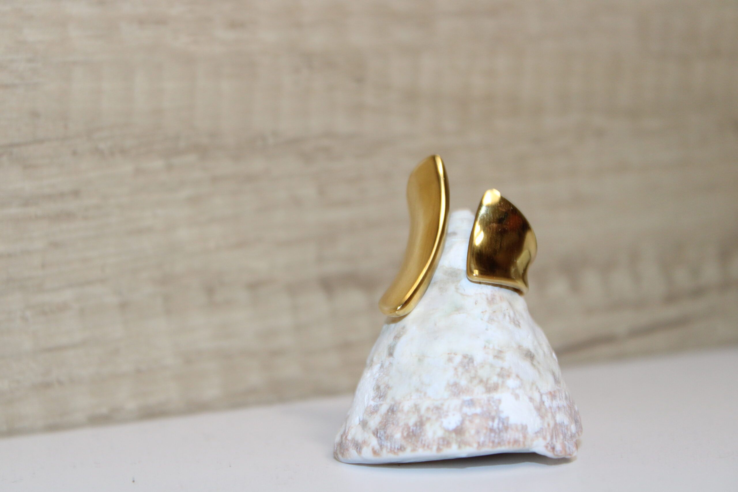 Anillo de Acero Dorado “Marea”