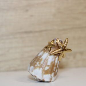 Anillo de Acero con Dos Estrellas de Mar Ajustable