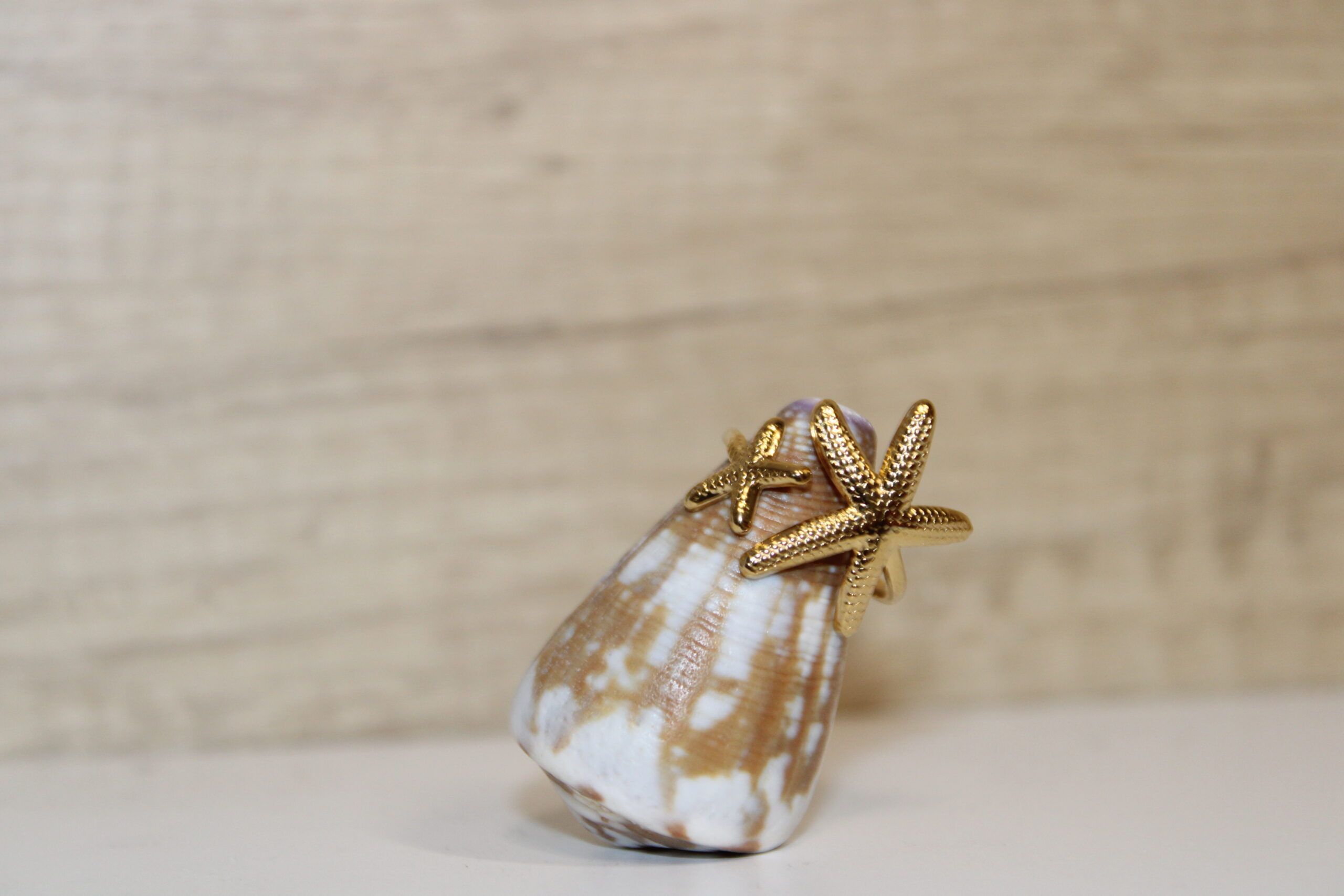 Anillo de Acero con Dos Estrellas de Mar Ajustable